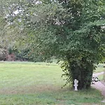 Chateau Des Aulnes 4*