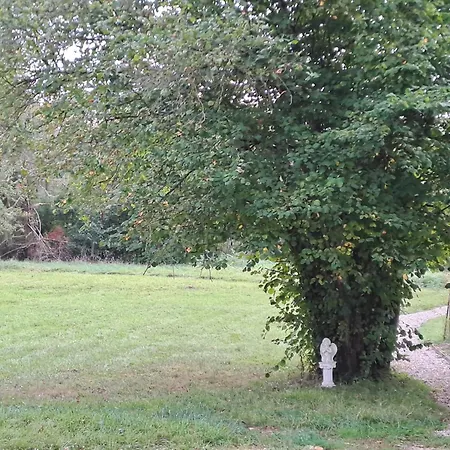 Château Des Aulnes 4*