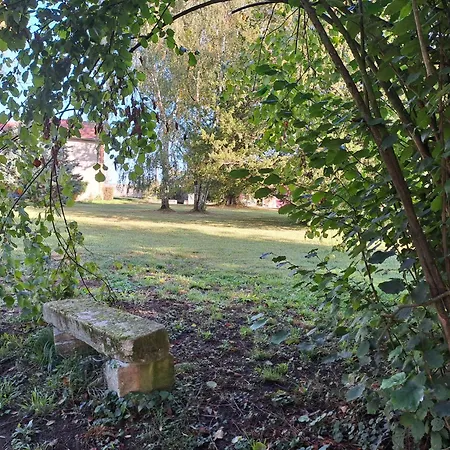 Château Des Aulnes Maison d'hôtes 4*