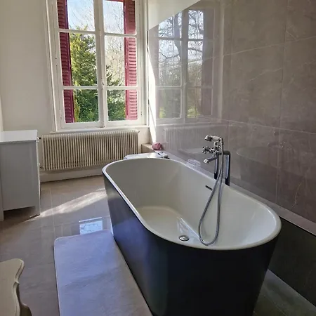 Maison d'hôtes Château Des Aulnes